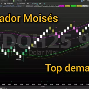 Imagem de capa para o Curso online Indicador Moises para mini dólar, Bit e índice