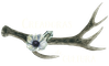 Creadoras de Cultura
