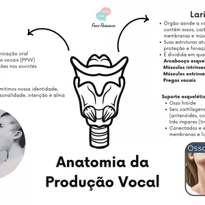 Imagem de capa para o Ebook ANATOMIA DA PRODUÇÃO VOCAL - MAPA MENTAL