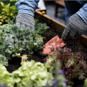Imagen de portada para Curso online Cultiva, Come y Cuida el Planeta, Deja tu Huella Colibrí!!