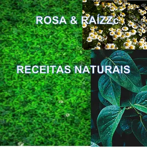 Imagem de capa para o Curso online RECEITASNATURAISFLORA
