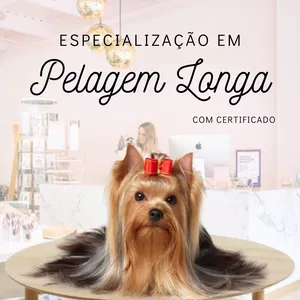 Imagem de capa para o Curso online Especialização em Pelagem Longa