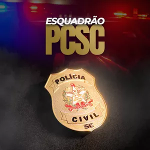 Imagem de capa para o Curso online PLATAFORMA PCSC