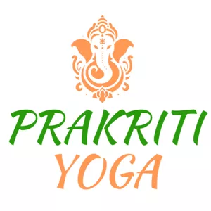 Imagem do curso Curso de formação de professores de Yoga