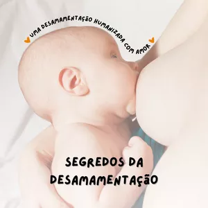 Imagem de capa para o Ebook Segredos da Desamamentação