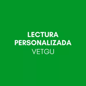 Imagen de portada para Ebook Lectura personalizada 