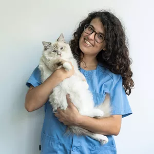 Imagen de portada para Curso online MENTORÍAS DE MTCV PARA VETERINARIAS