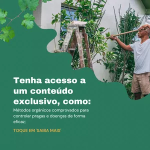 Imagem de capa para o Ebook Guia Prático de Hortas Orgânicas