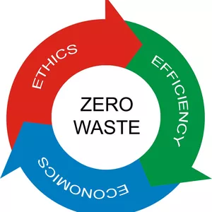 Imagen de portada para Curso online ZERO FLACIDES Y CELULITIS