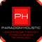 Paradigm Holistic-Flow Academy 