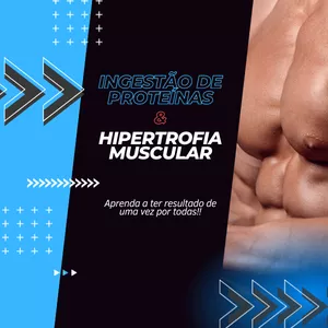 Imagem de capa para o Curso online Ingestão de proteínas & Hipertrofia muscular