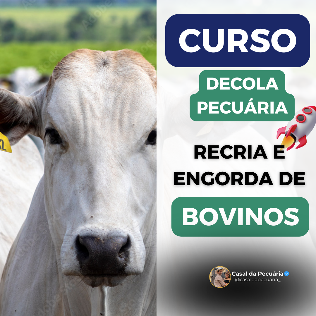 Curso Curso DECOLA PECUÁRIA do Casal da Pecuária