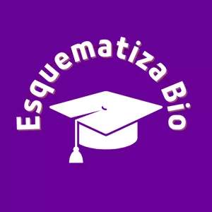 Imagem de capa para o Serviço online Mentoria para elaboração de TCC, monografias, artigos e dissertações