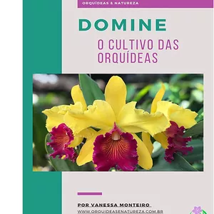 Imagem principal do produto E-Book - Domine o Cultivo das Orquídeas
