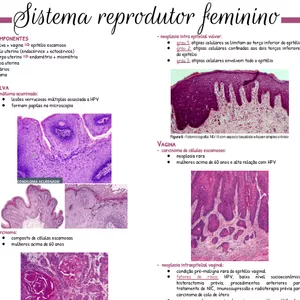 Imagem de capa para o Ebook Resumo de Patologia Médica - Patologias do sistema genital feminino