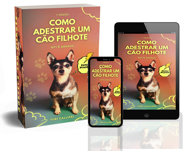 Adestre seu Cão Filhote em 6 passos simples — imagem 4