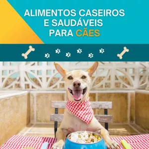 Imagem de capa para o Ebook Comida Caseira Saudável para Cães