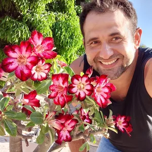 Imagem do curso O MELHOR E MAIS COMPLETO CURSO DE ROSAS DO DESERTO