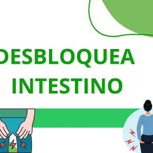 Imagen de portada para Ebook DESBLOQUEA INTESTINO - PDF - OFF