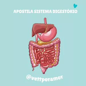 Imagem principal do produto Apostila Sistema Digestório 