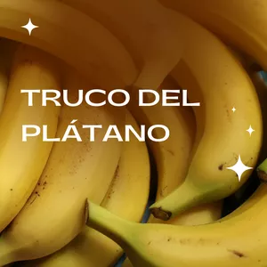 Imagen de portada para Curso online TROCO DEL PLATANO
