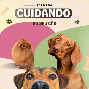 Imagem de capa para o Curso online Como Cuidar do seu Cão