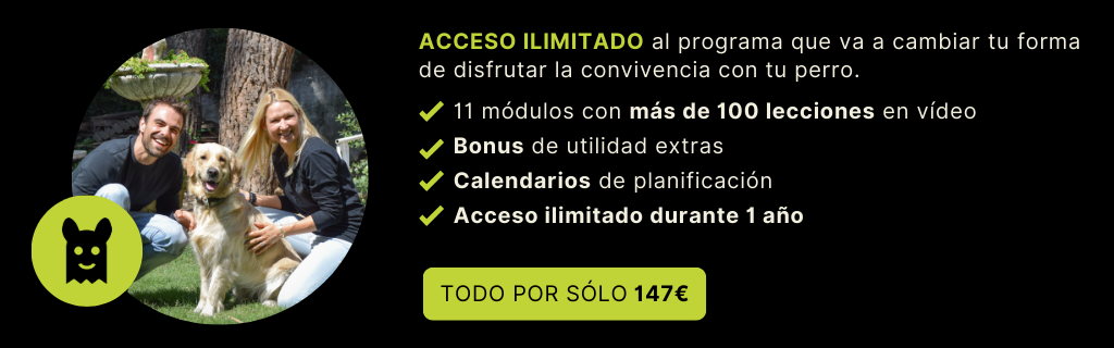 Superar los Miedos