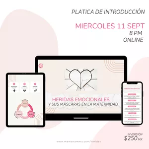 Imagen de portada para Curso online MINI TALLER HERIDAS EMOCIONALES