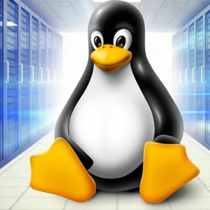 Imagem de capa para o Curso online  Linux 