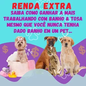 Curso Banho e Tosa para Iniciantes