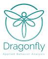 Dragonfly Academy logo