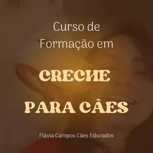 Imagem de capa para o Curso online Curso para Abrir Creche para Cães!