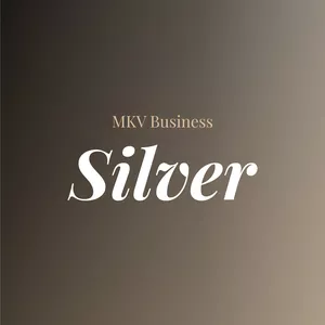 Imagem de capa para o Evento presencial MKV BUSINESS | Silver