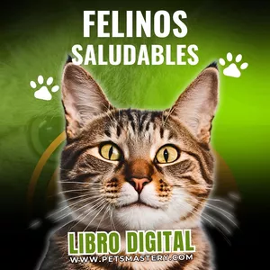 Imagen de portada para Curso online (EBOOK) Método Felinos Saludables