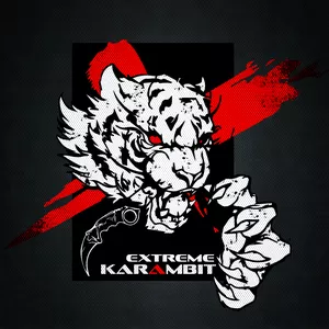 Imagen de portada para Curso online Karambit Chaos Theory ES version