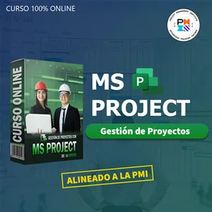 Imagen de portada para Curso online Experto en Microsoft Project Online