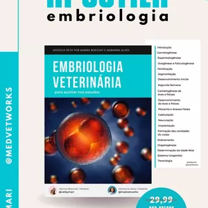 Imagem de capa para o Ebook Apostila Embriologia