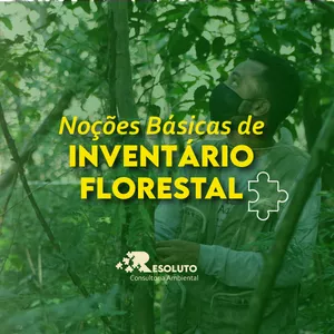 Imagem de capa para o Curso online Noções Básicas de Inventário Florestal