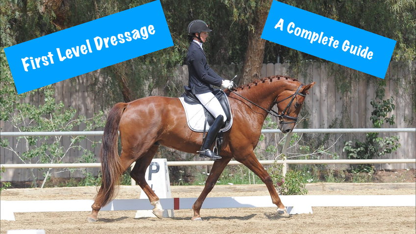 Fit Rider Amelia's Dressage Academy (The Dressage Academy Inc.)