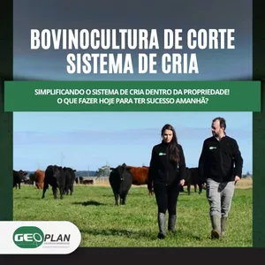 Imagem de capa para o Curso online Curso de bovinocultura de corte. Simplificando  o sistema de cria dentro da propriedade! O que fazer hoje para ter sucesso amanhã  ???