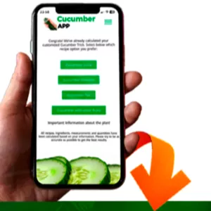 Cover image for Online course CUCUMBER PREMIUM APP