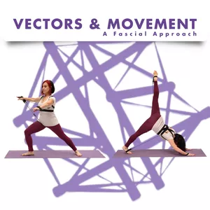 Cover image for Online course Vectors and Movement - A Fascial Approach