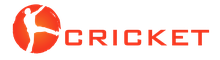 Southern Cricket Online Academy