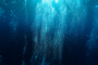 Spiritual Soundings