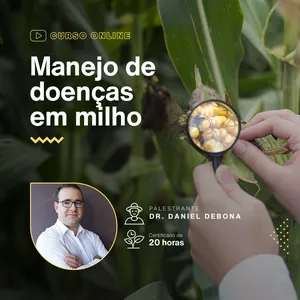 Imagem de capa para o Curso online Manejo de doenças em milho