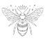 The HD Bee 