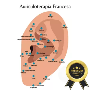 Imagem de capa para o Curso online Mapa auriculoterapia francesa