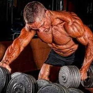 Imagem de capa para o Ebook Treino de musculação com halteres