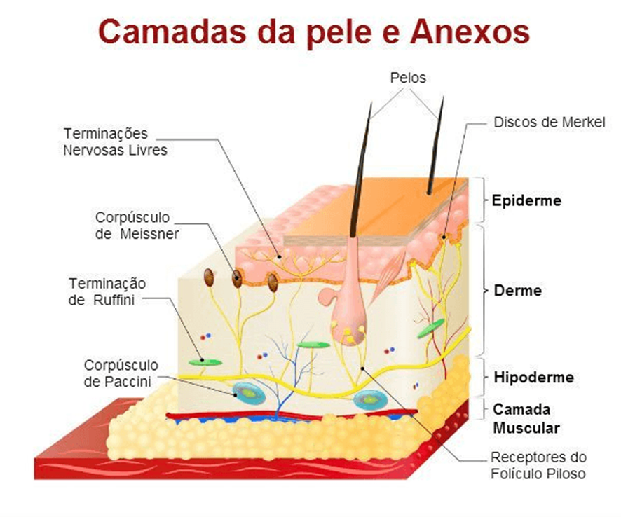 LIMPEZA DE PELE QUE VENDE — imagem 3