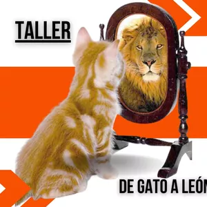 Imagen de portada para Curso online Taller: De gato a león